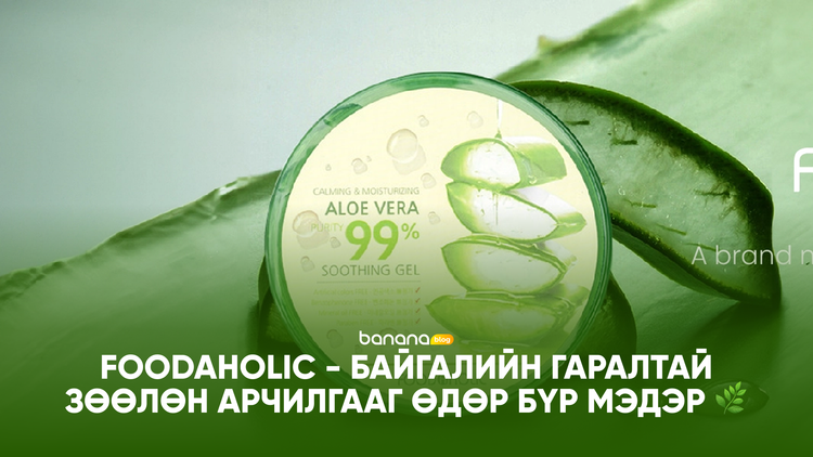 🌿 FOODAHOLIC - Байгалийн гаралтай зөөлөн арчилгааг өдөр бүр мэдэр